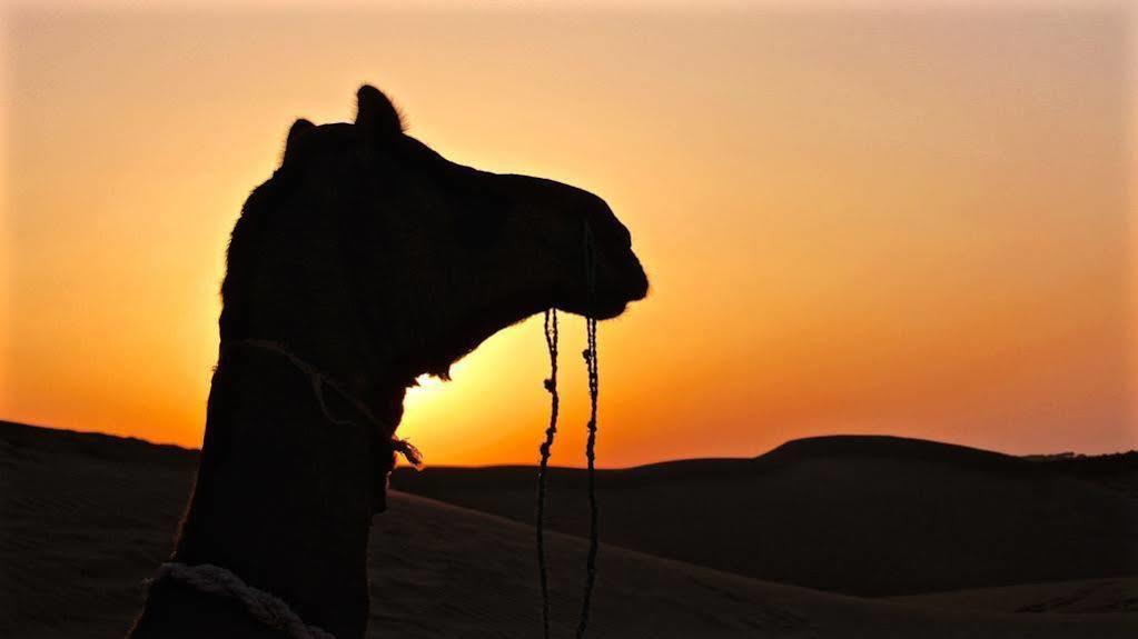 Damodra Desert Camp Jaisalmer Exterior foto